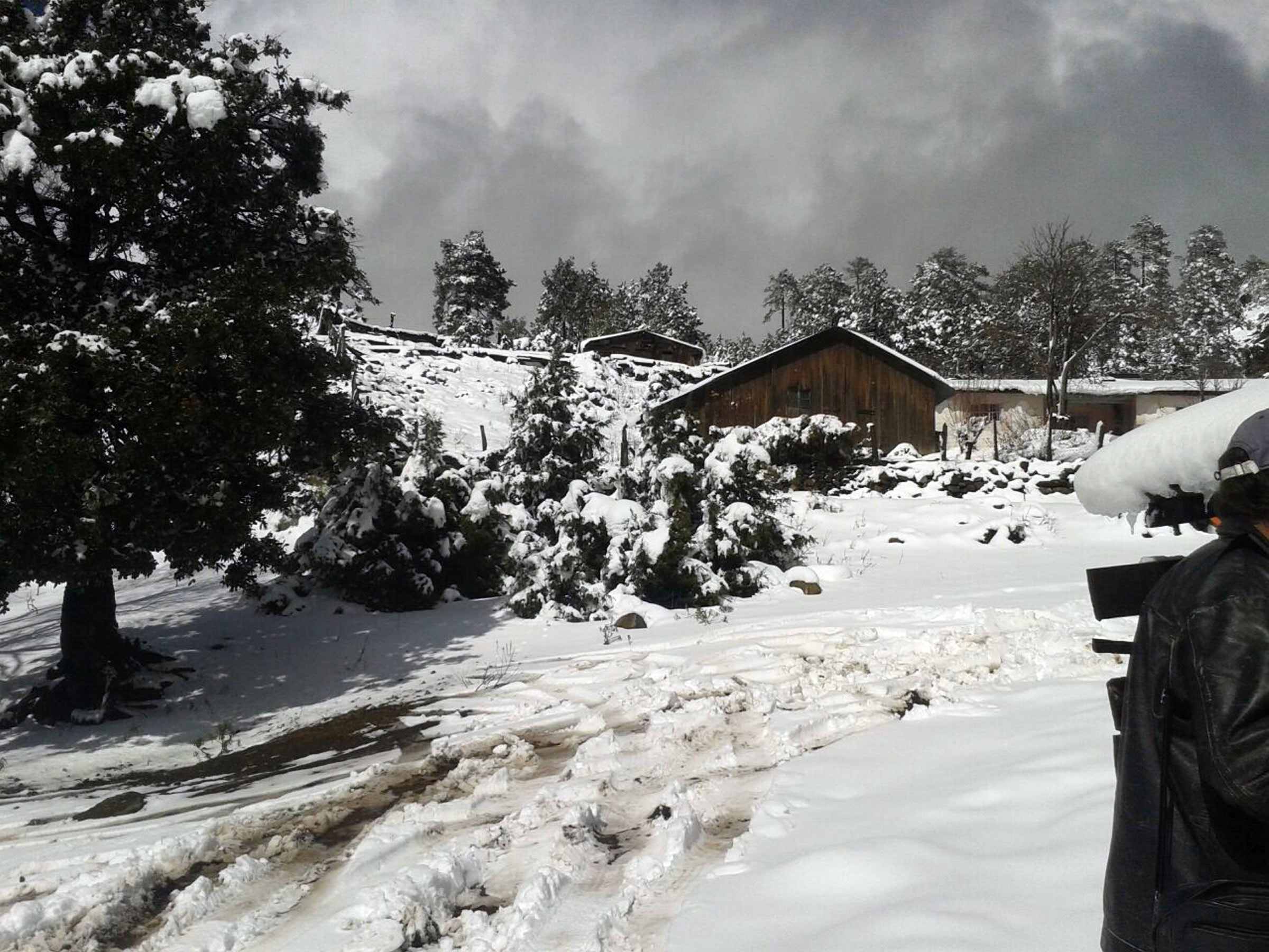Nevadas azotan a 12 municipios de Durango (FOTOS)